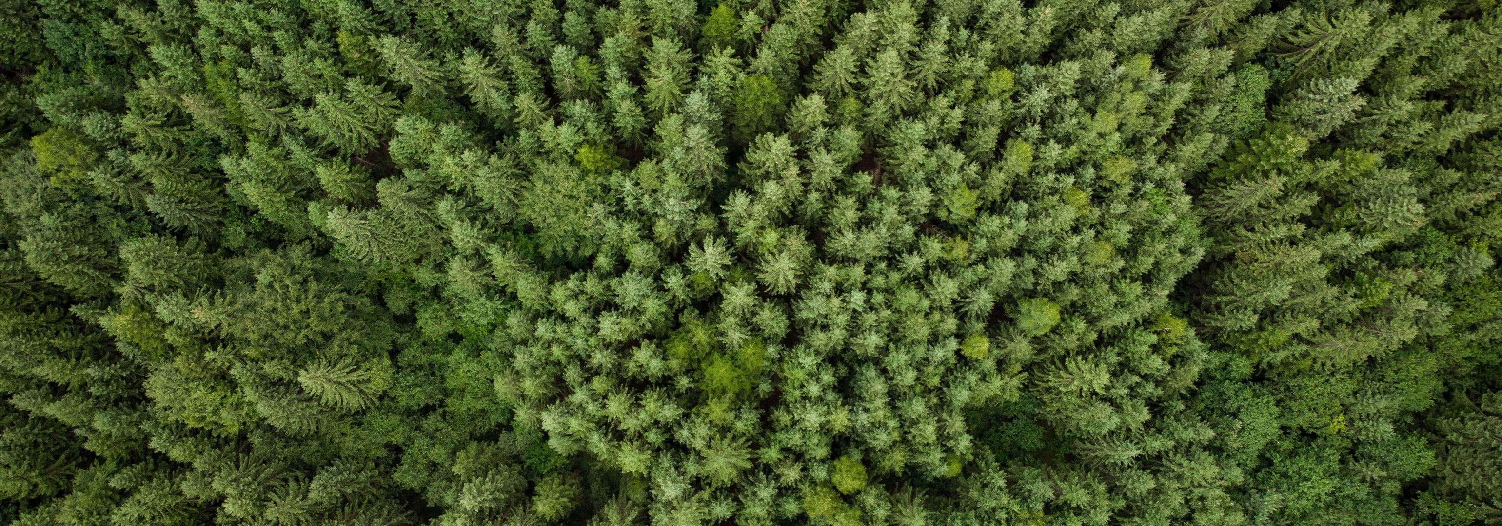 Daha İyi Bir Gelecek İçin Sorumlu Üretim