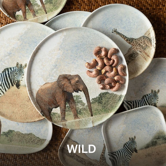 <built-in method title of str object at 0x7fa27c1f6228>