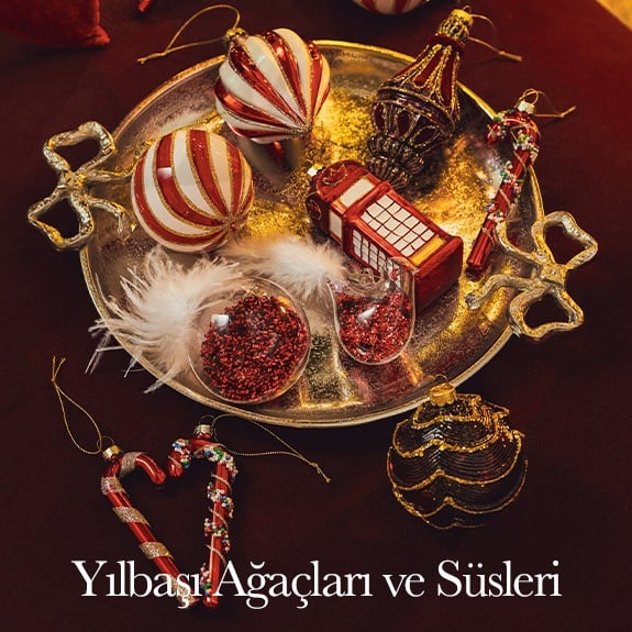 <built-in method title of str object at 0x7f4a9a98d228>