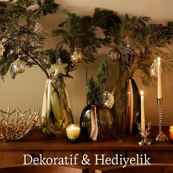 <built-in method title of str object at 0x7f70d93e9228>