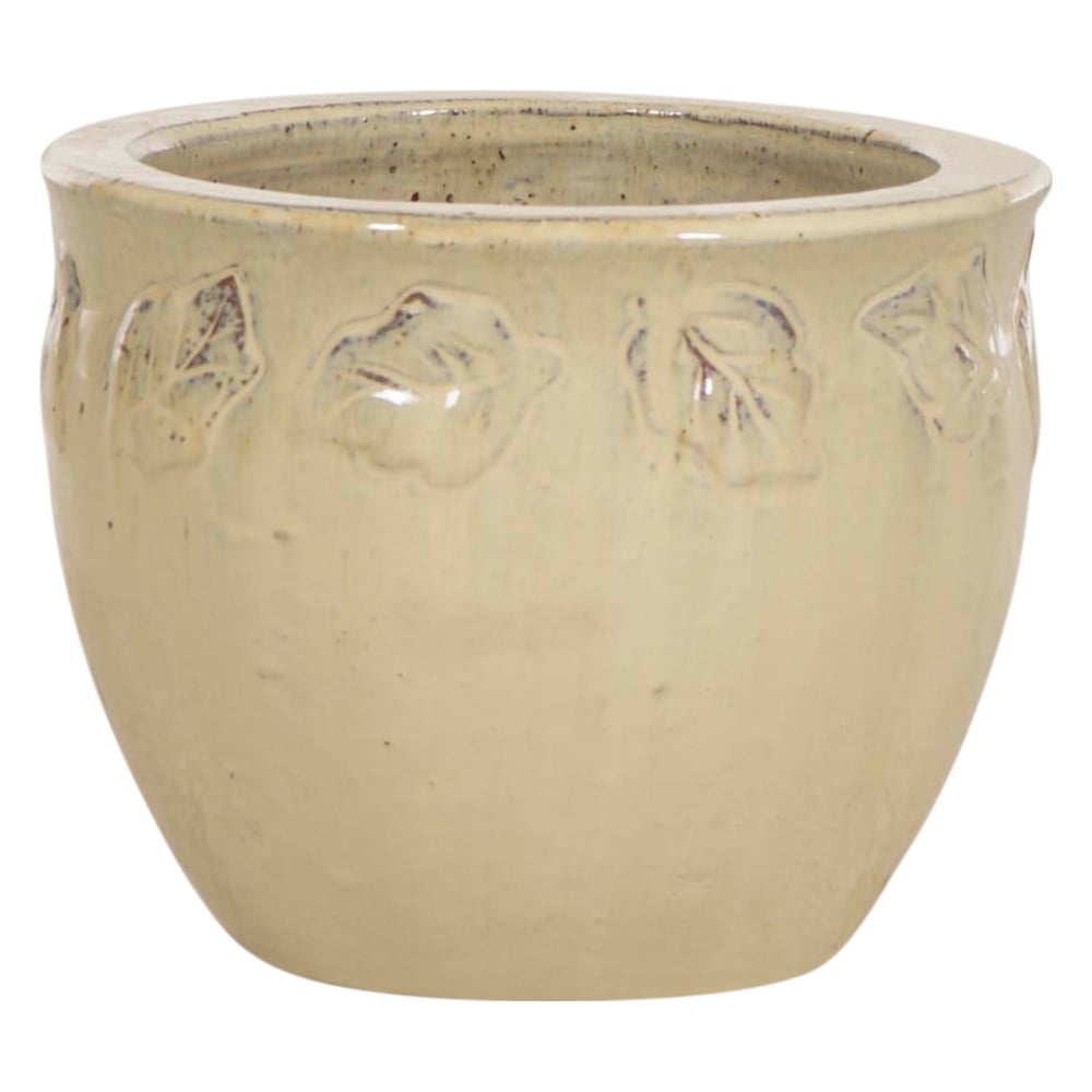 YAPRAK SAKSI KREM XS