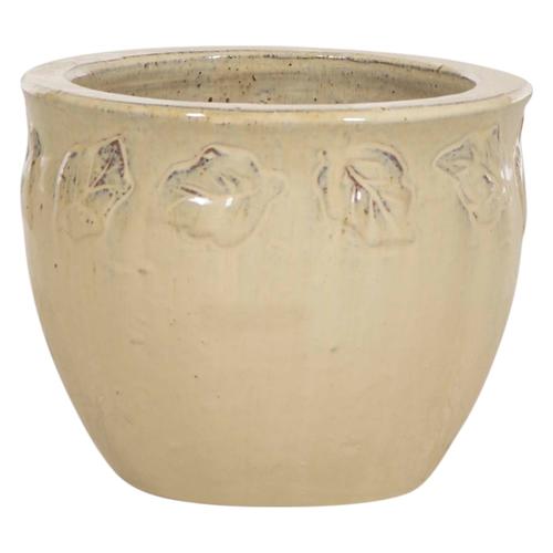  YAPRAK SAKSI KREM XS