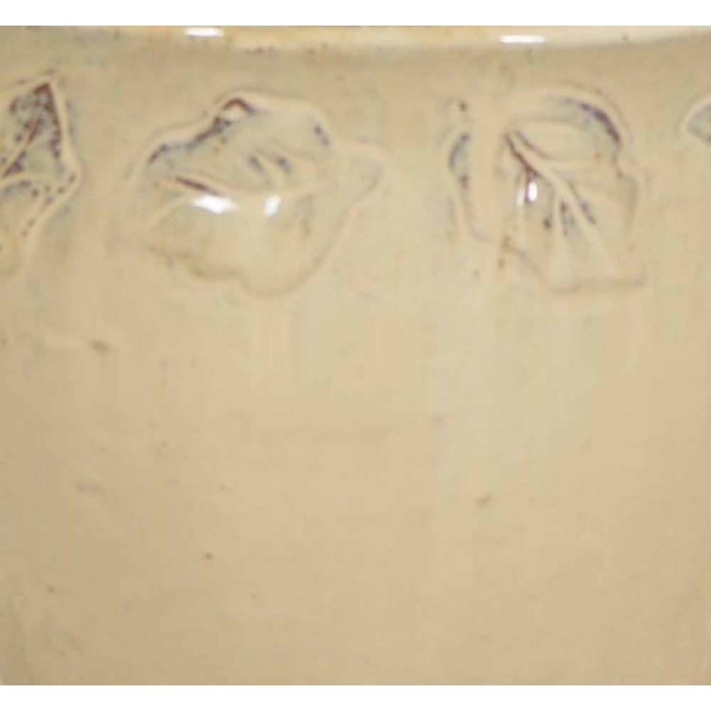 YAPRAK SAKSI KREM XS