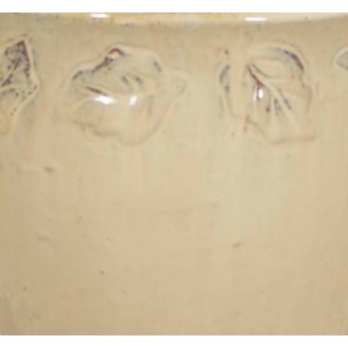  YAPRAK SAKSI KREM XS