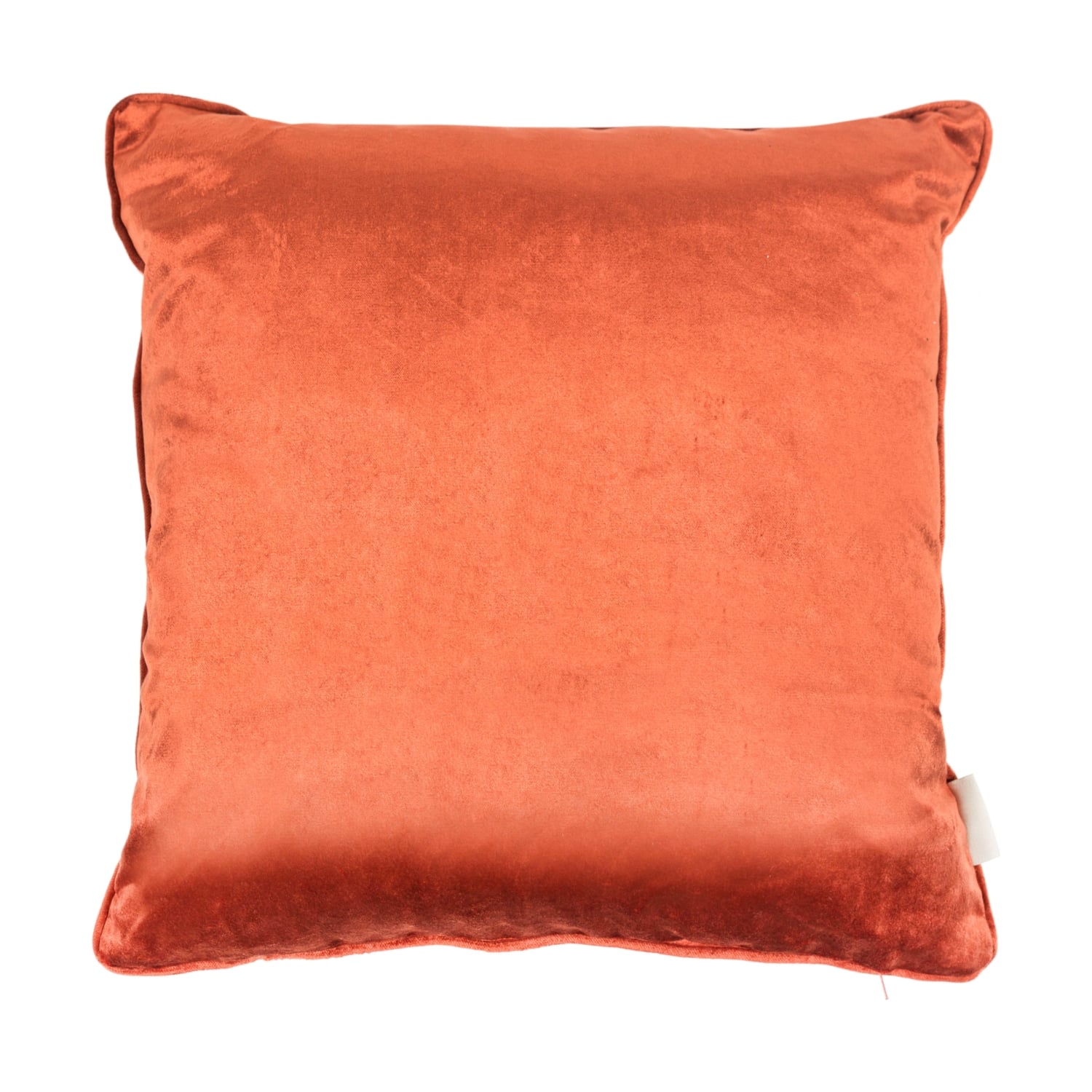 BELLA ERZEN KIRLENT 43X43