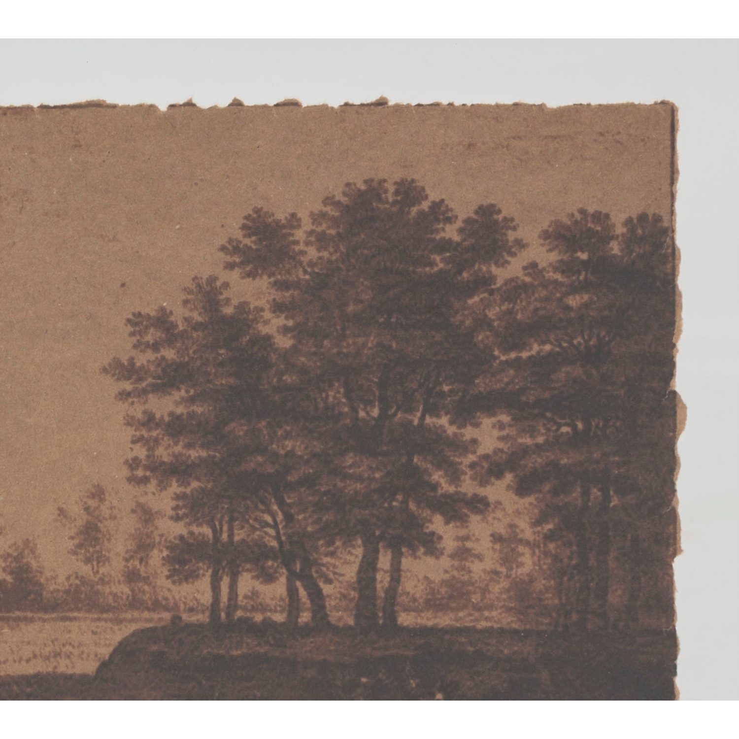 FOREST WAY PANO 40X60CM