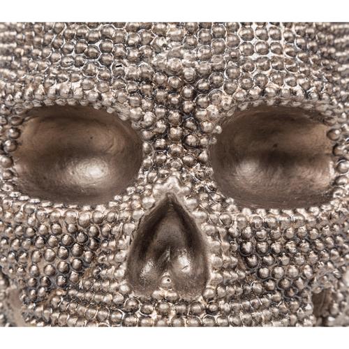  KURU KAFA BİBLO 27x20x23 CM