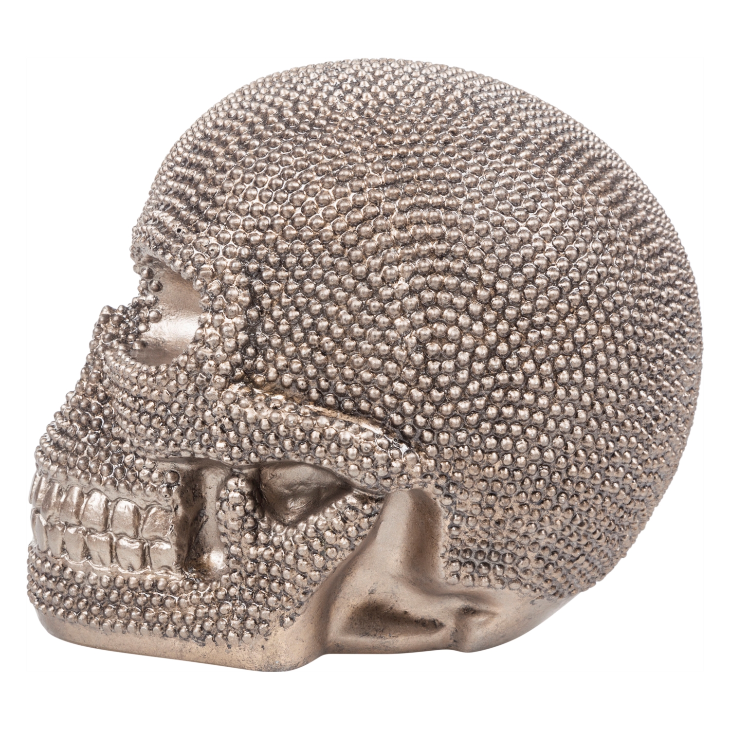 KURU KAFA BİBLO 27x20x23 CM