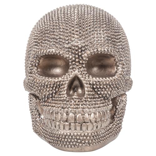  KURU KAFA BİBLO 27x20x23 CM