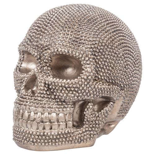  KURU KAFA BİBLO 27x20x23 CM