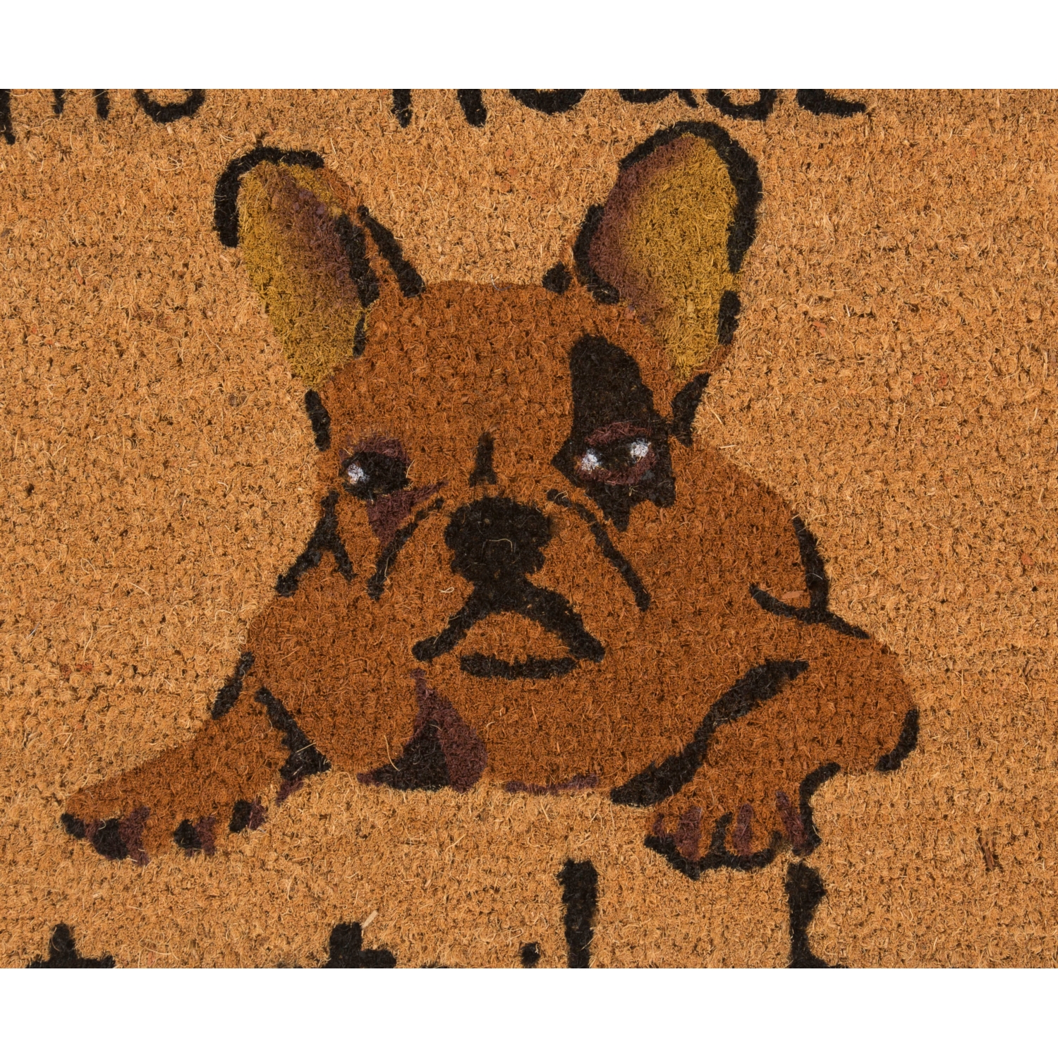 DOG KAPI PASPASI 45X75 CM