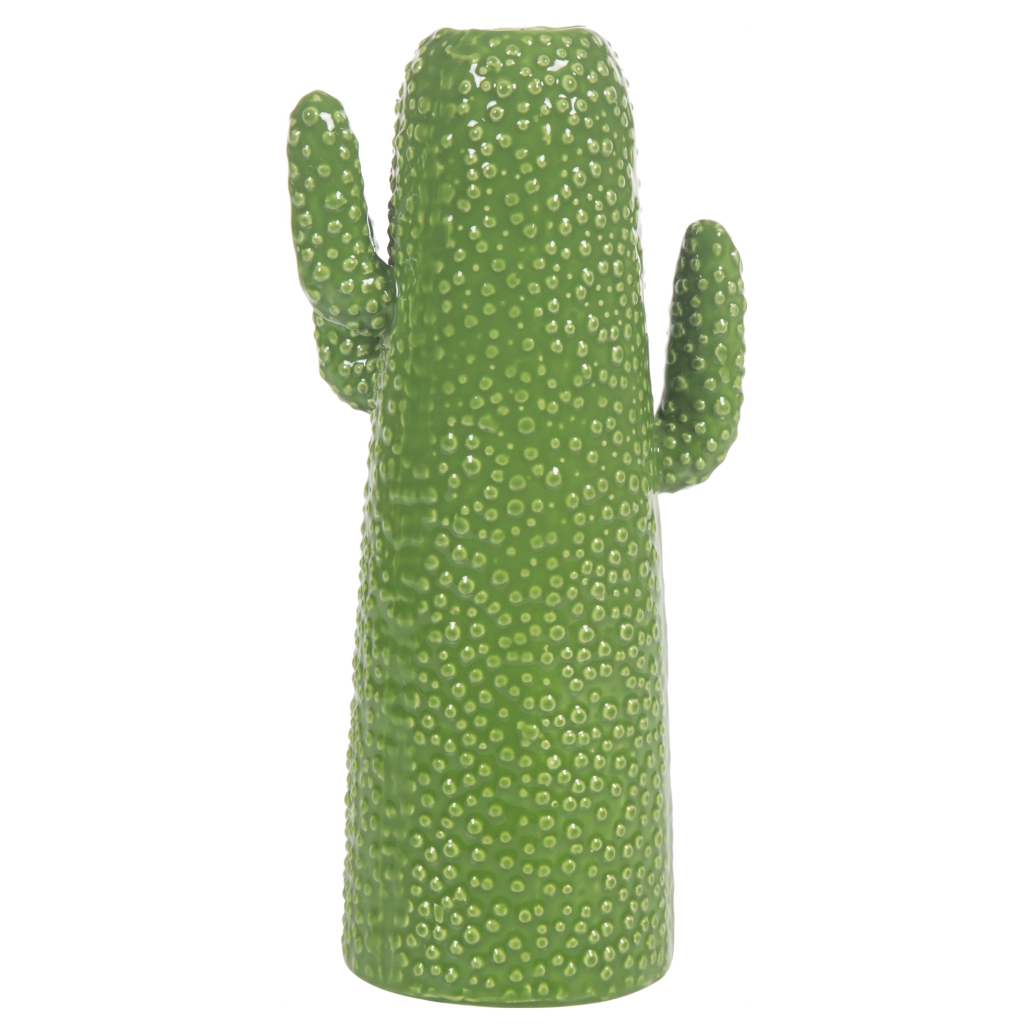 KAKTÜS VAZO 9X25X16CM