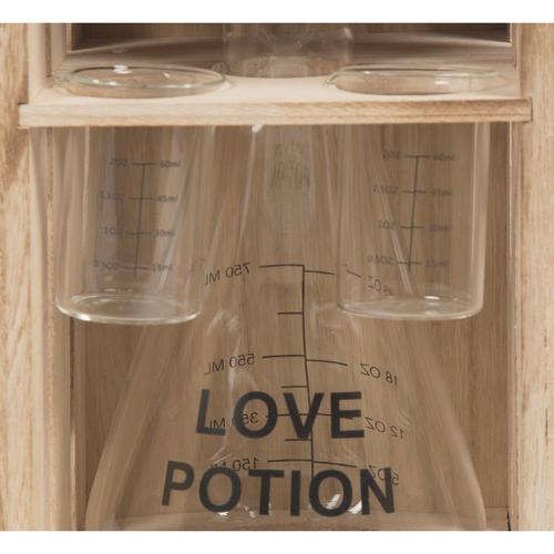  POTION AHSAP KUTULU ICKI SETI - 1L