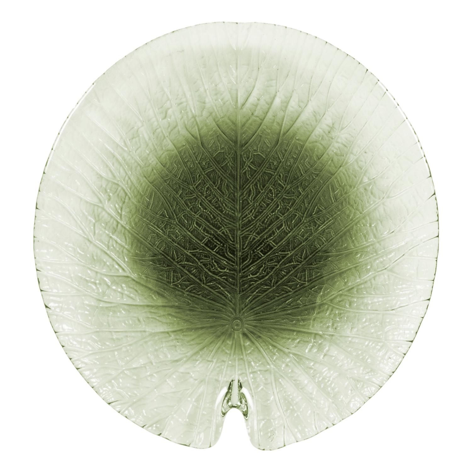 LEAF PASTA TABAGI 24CM