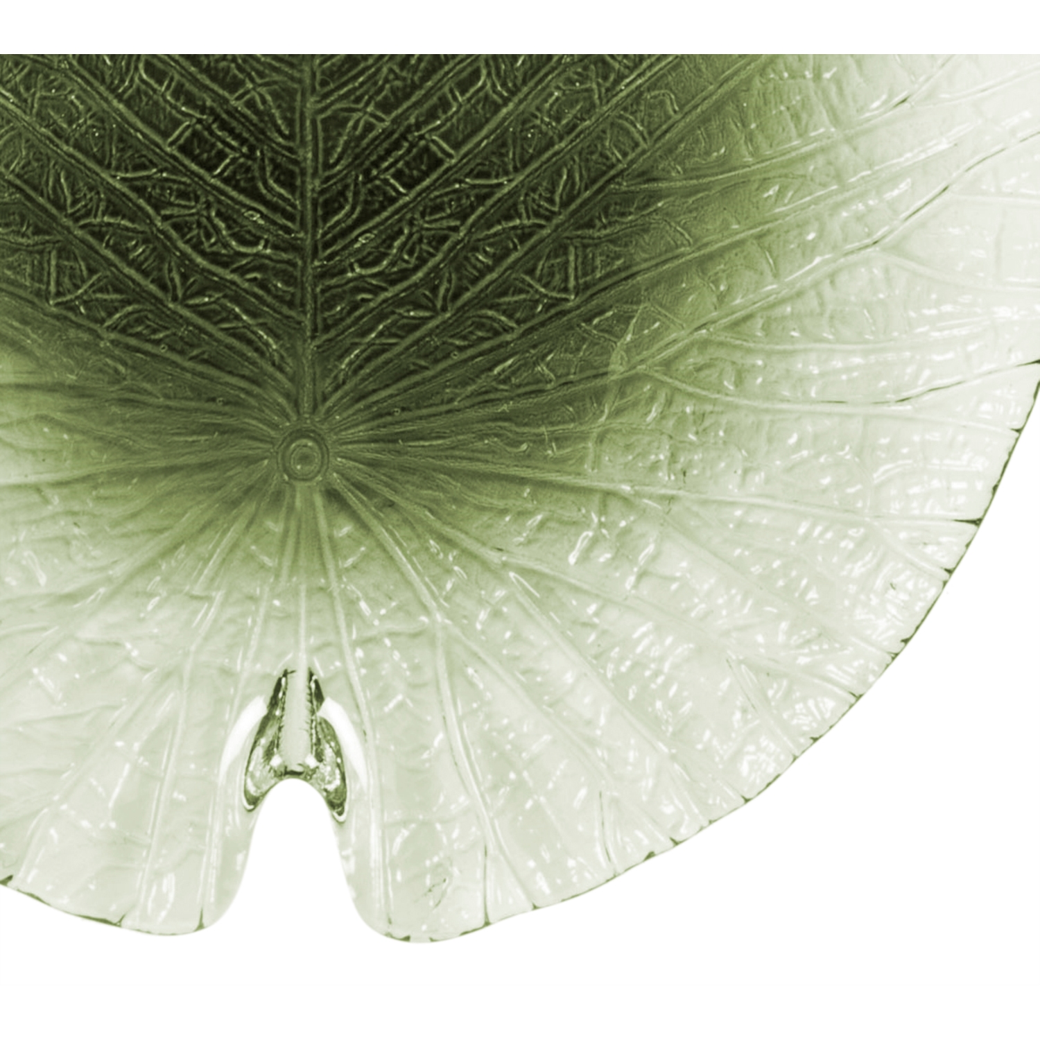 LEAF PASTA TABAGI 24CM