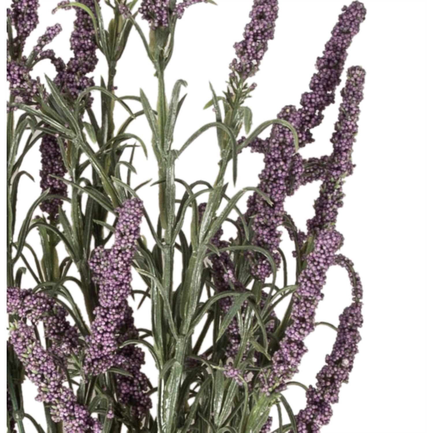 LAVANTA BUKETİ 52CM