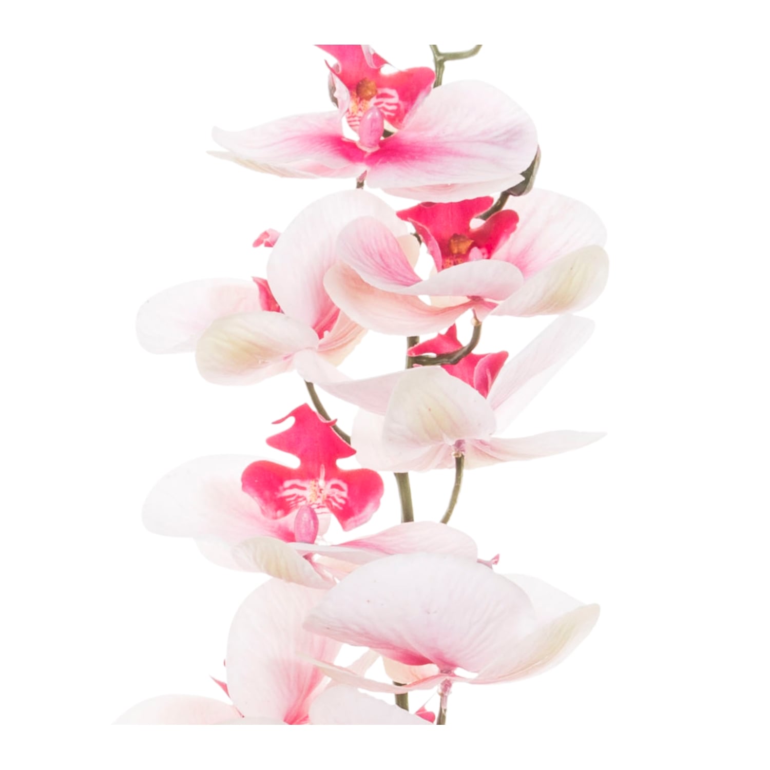 TEK DAL ORKİDE BEYAZ 90CM