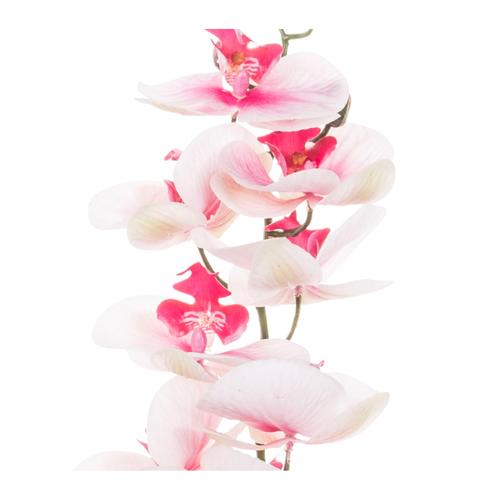  TEK DAL ORKİDE BEYAZ 90CM