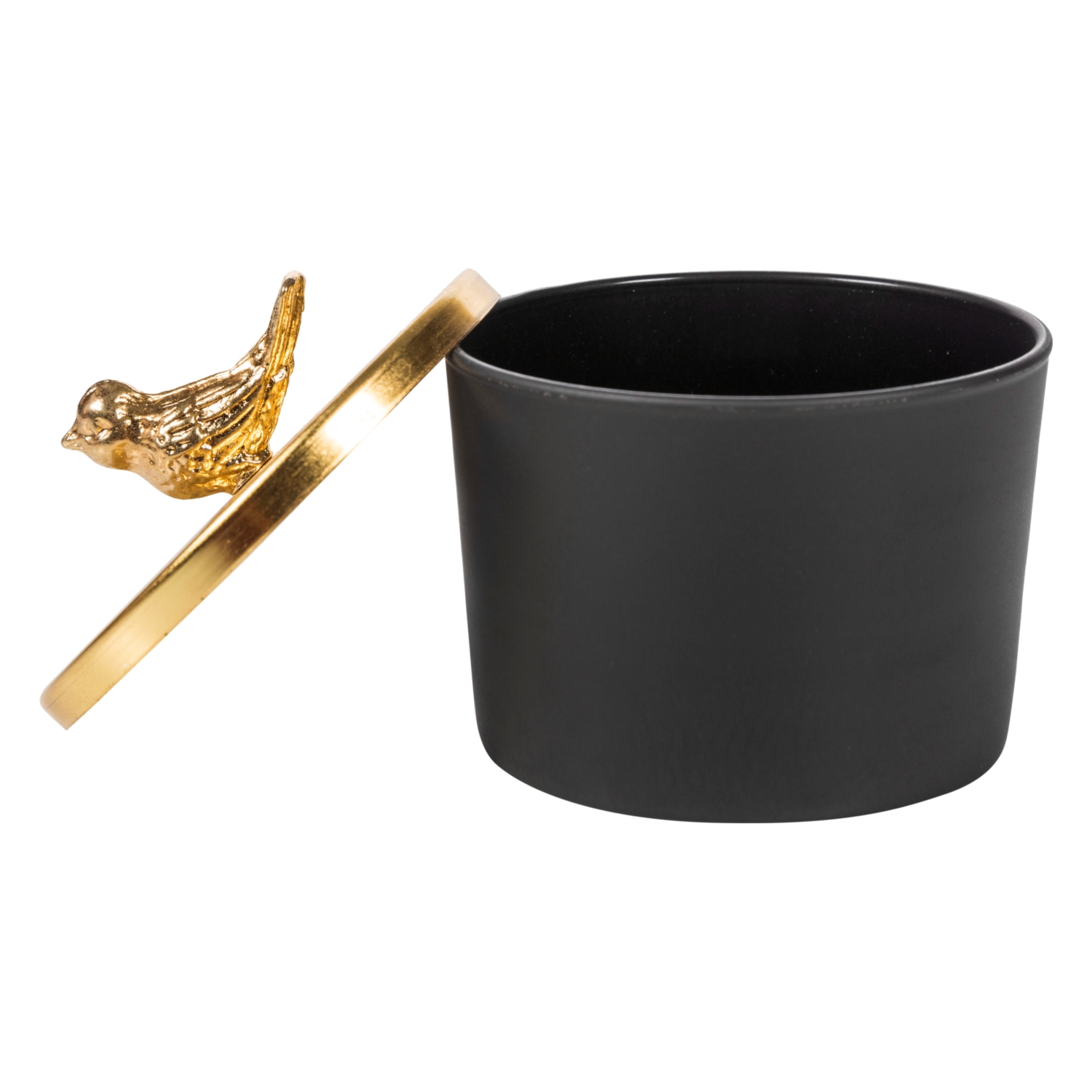 GOLD BIRD TAKI KUTUSU