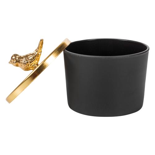  GOLD BIRD TAKI KUTUSU