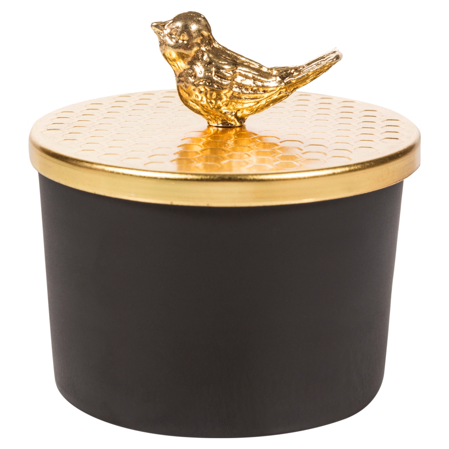 GOLD BIRD TAKI KUTUSU