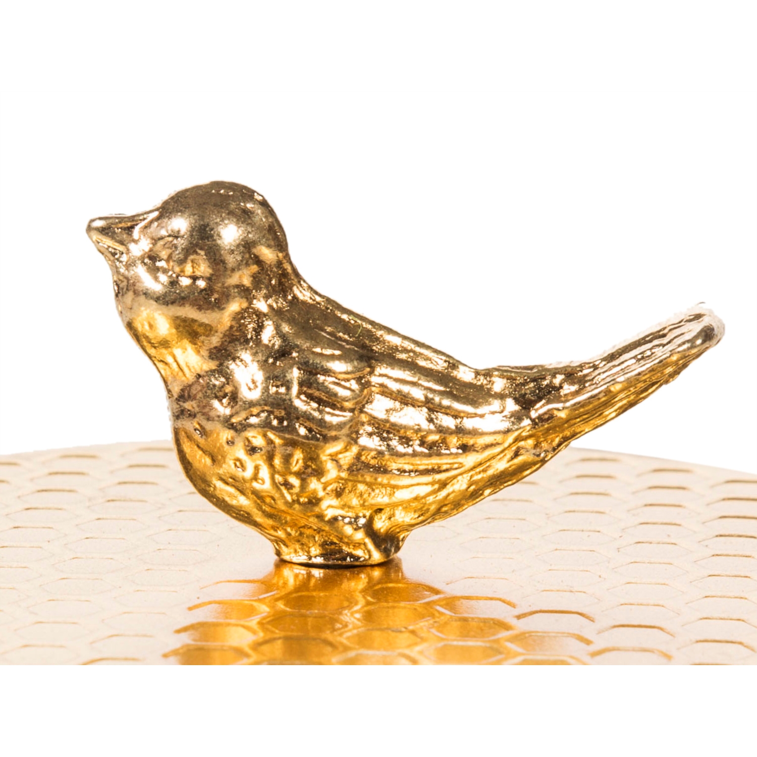 GOLD BIRD TAKI KUTUSU