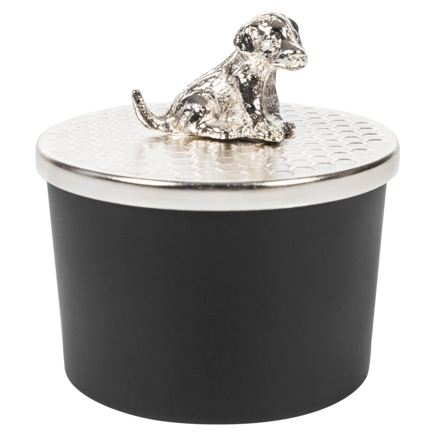 SILVER DOG TAKI KUTUSU