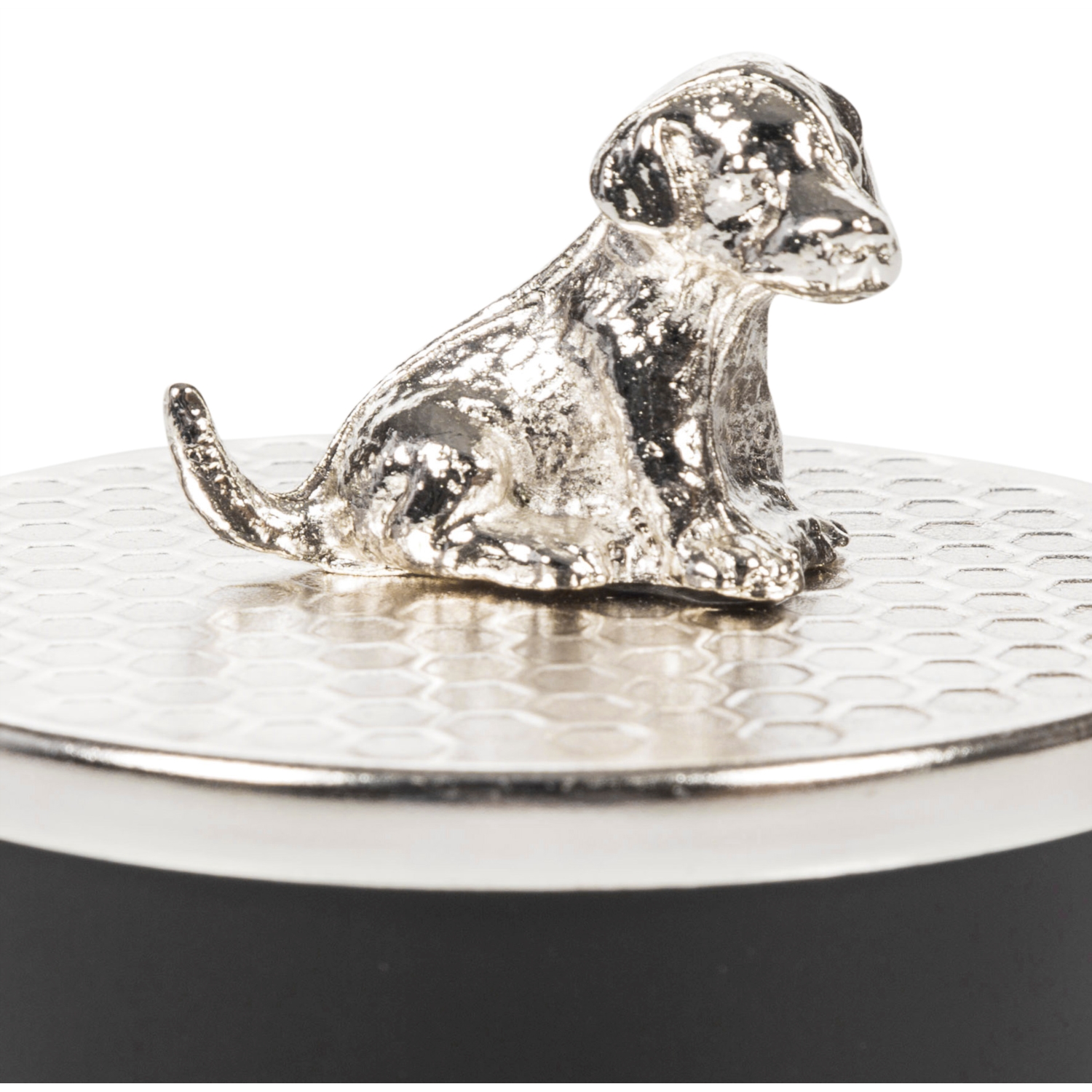 SILVER DOG TAKI KUTUSU