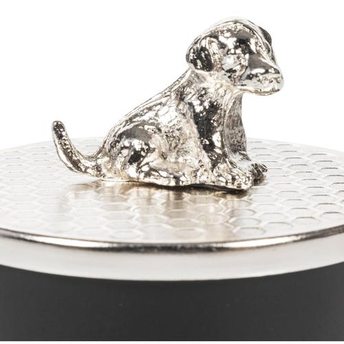  SILVER DOG TAKI KUTUSU