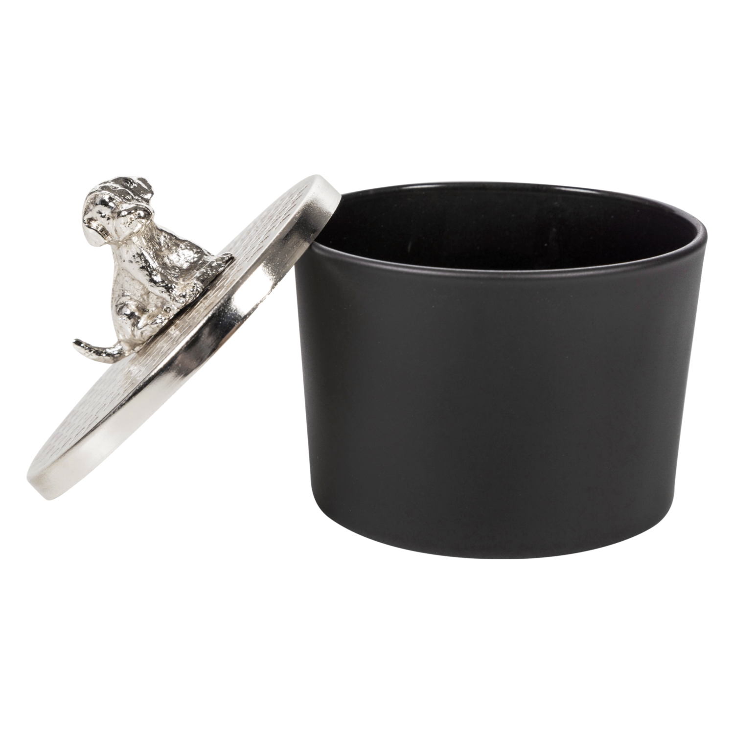 SILVER DOG TAKI KUTUSU