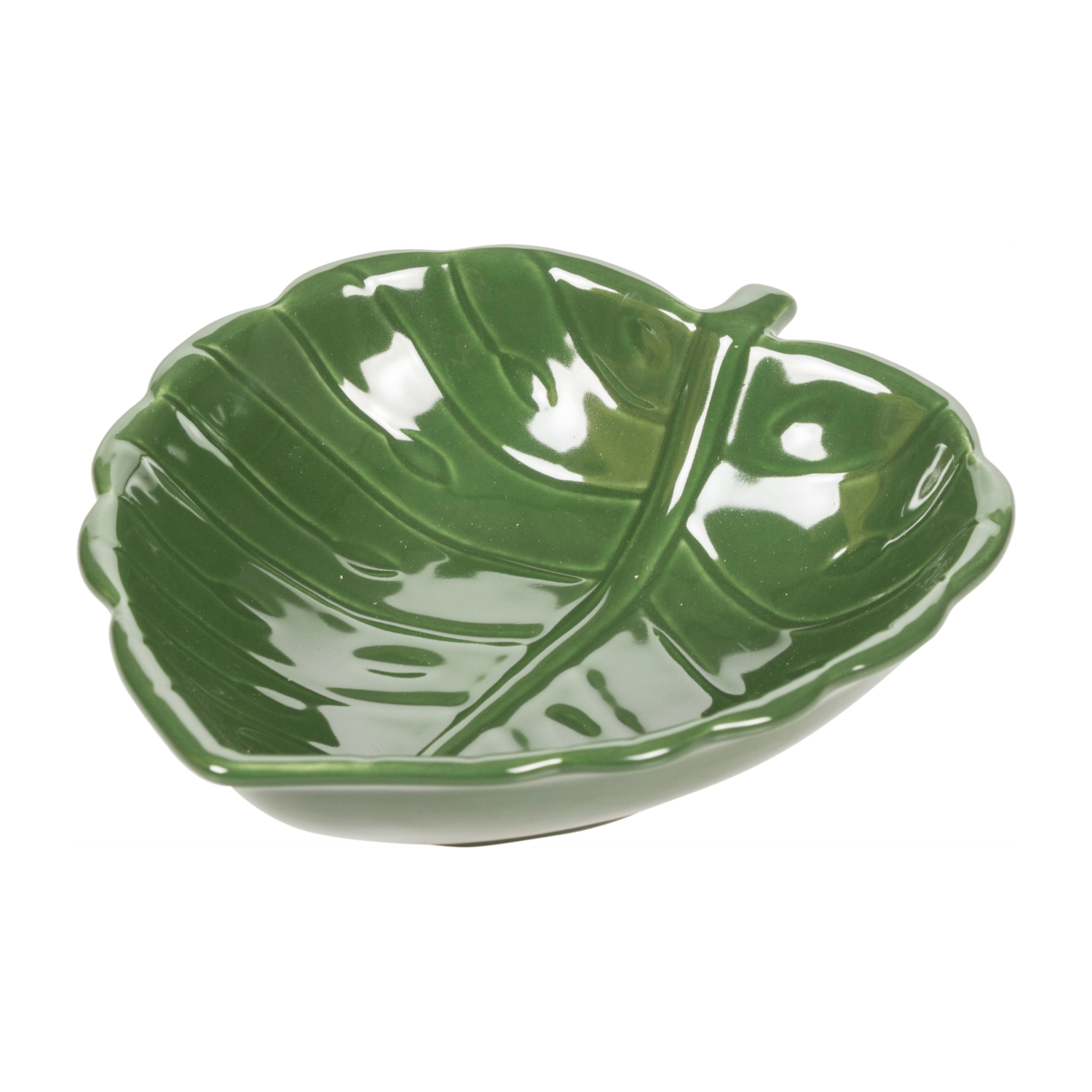 MONSTERA KASE 18X 5 CM