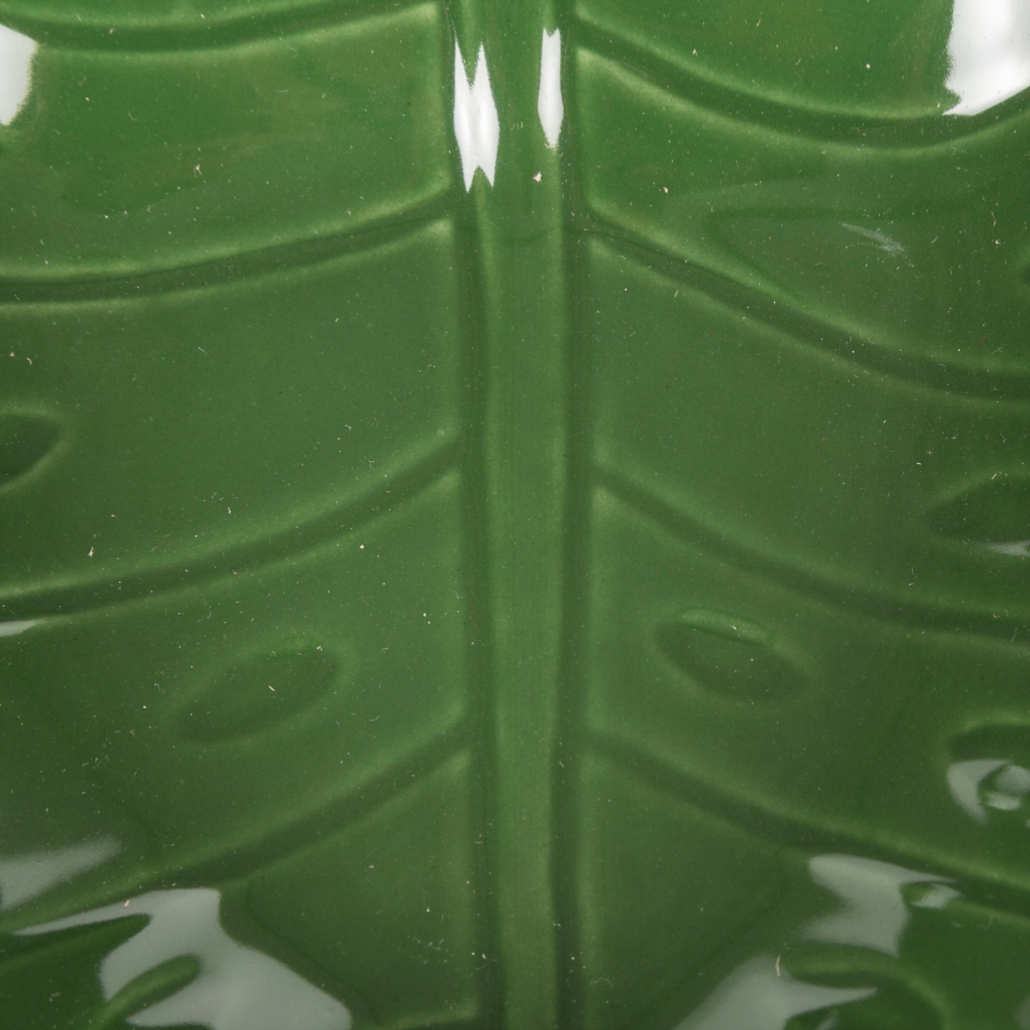 MONSTERA KASE 18X 5 CM