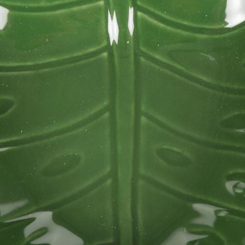  MONSTERA KASE 18X 5 CM