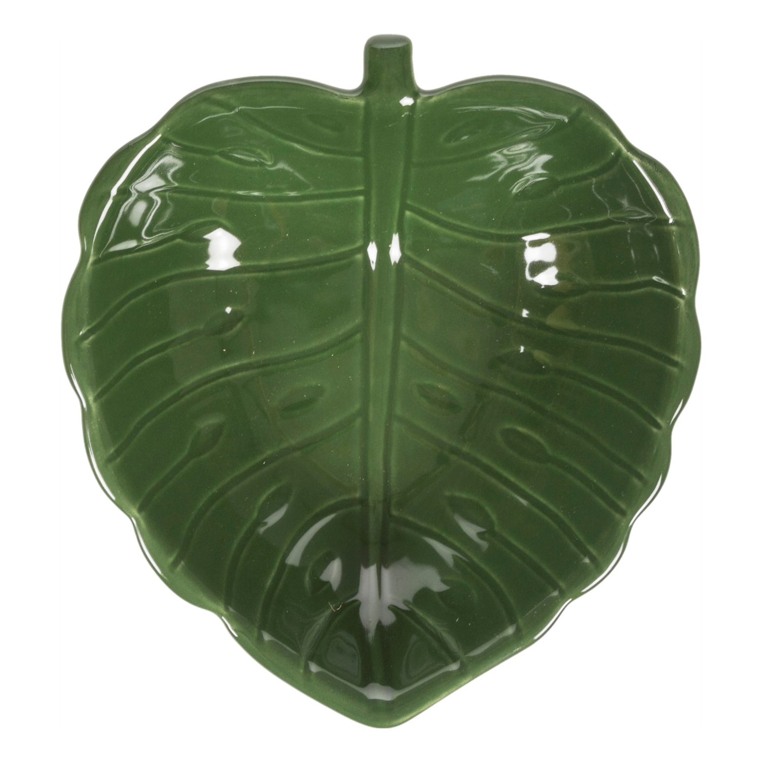 MONSTERA KASE 18X 5 CM