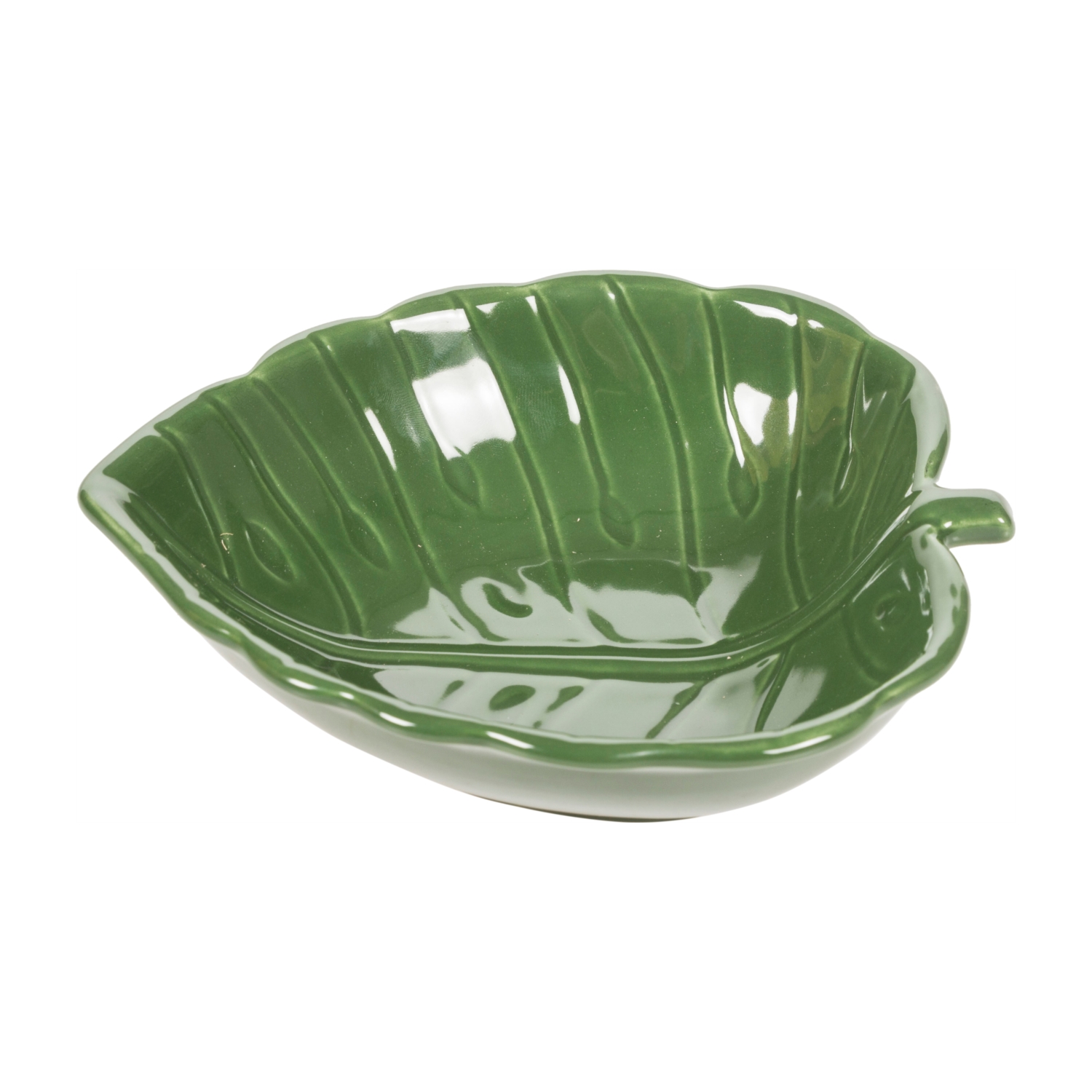 MONSTERA KASE 18X 5 CM