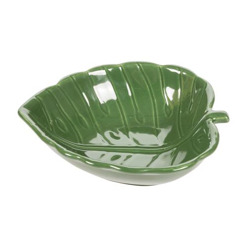 MONSTERA KASE 18X 5 CM