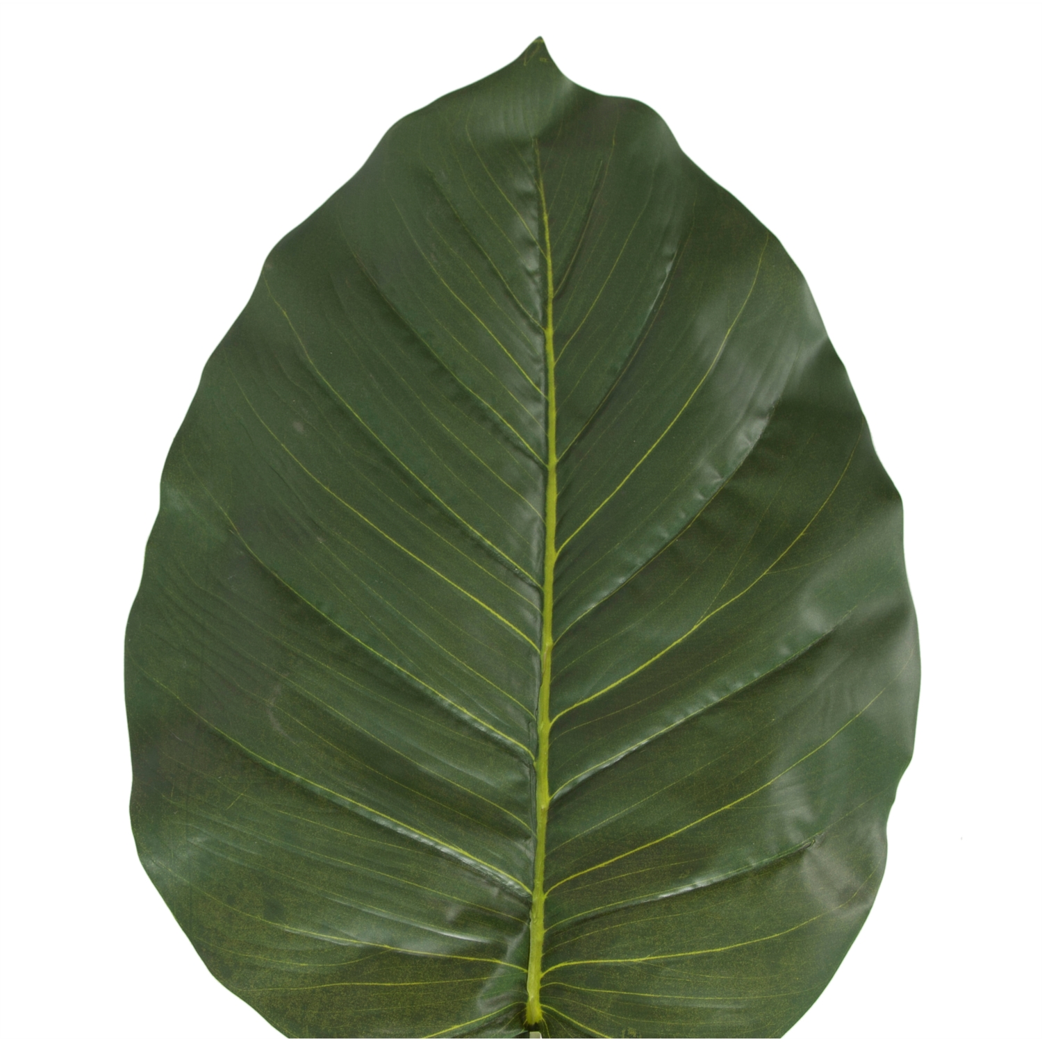 TEK DAL YAPRAK 108CM