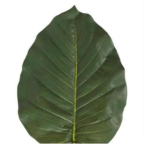  TEK DAL YAPRAK 108CM