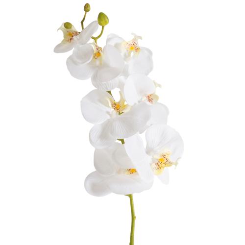  TEK DAL ORKİDE BEYAZ 85CM