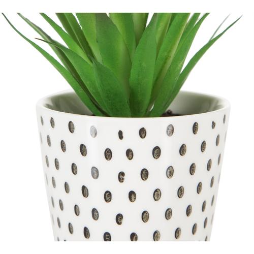  DOTTY YAPAY SUKULENT 8X14CM