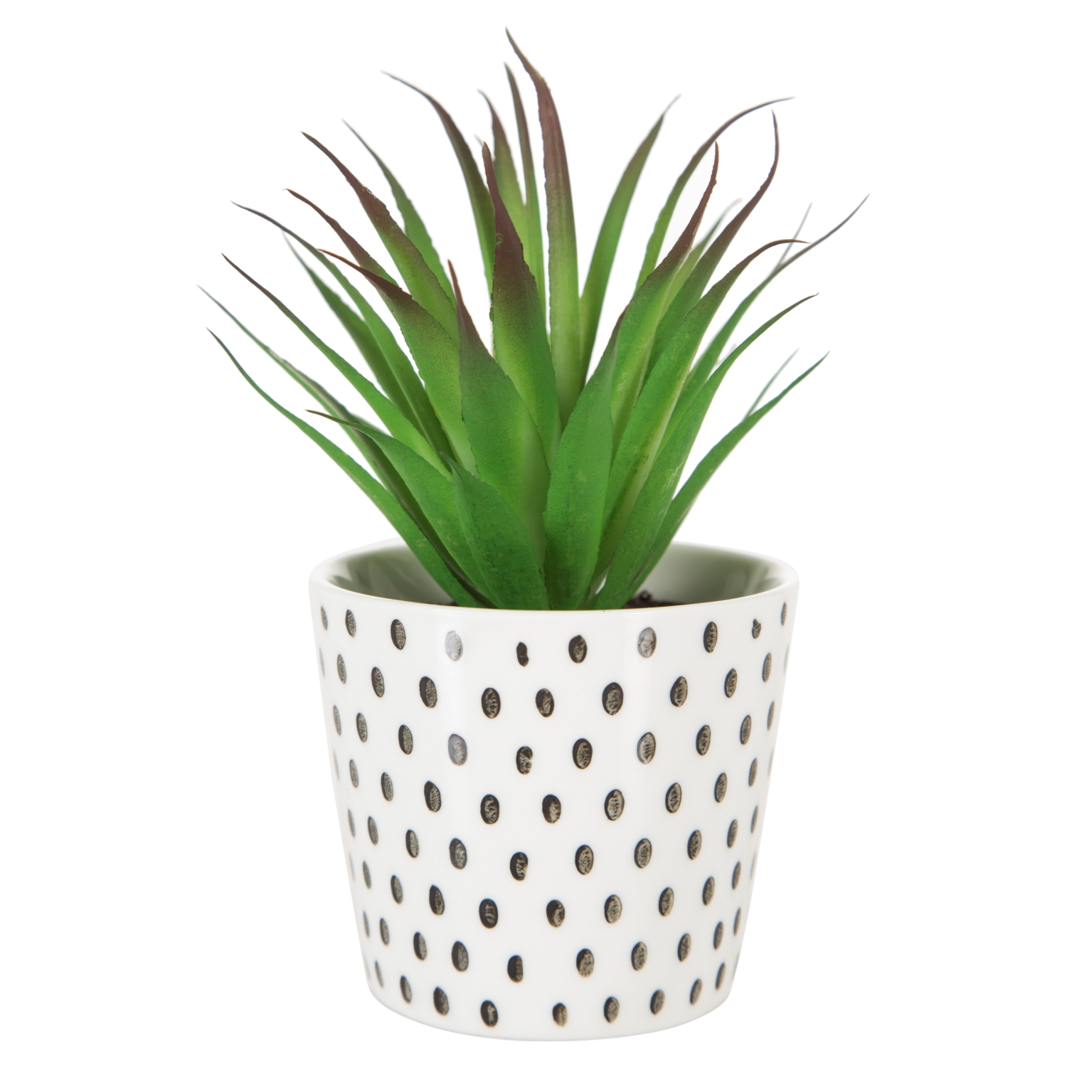 DOTTY YAPAY SUKULENT 8X14CM