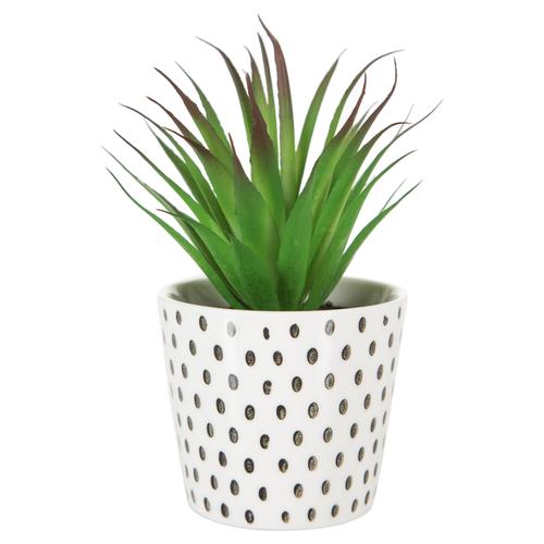  DOTTY YAPAY SUKULENT 8X14CM