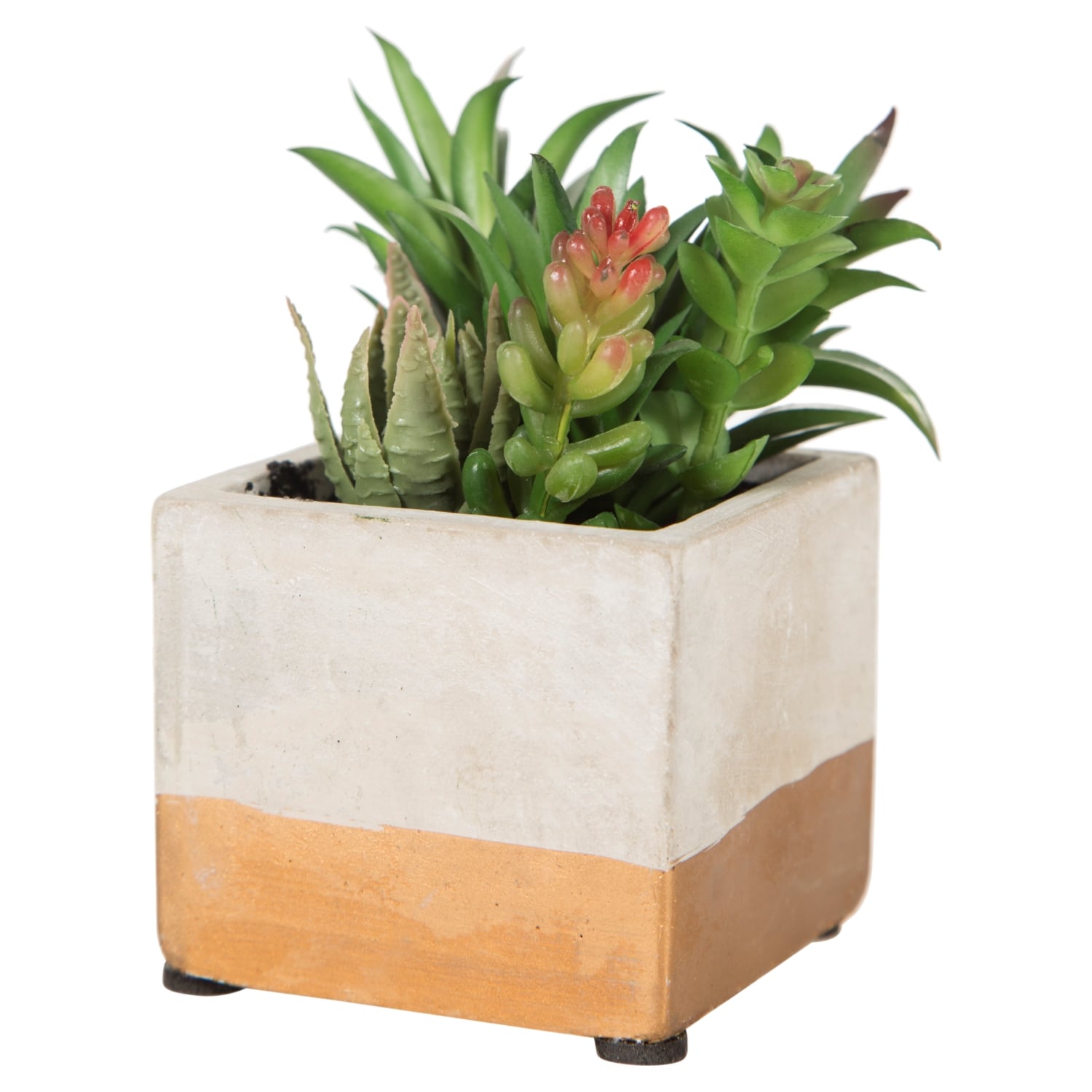 BRISBANE YAPAY SUKULENT 8X12CM