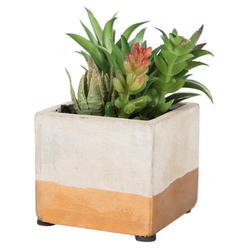  BRISBANE YAPAY SUKULENT 8X12CM