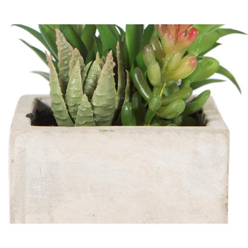  BRISBANE YAPAY SUKULENT 8X12CM