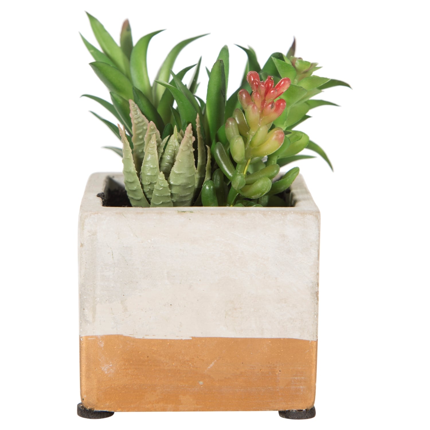 BRISBANE YAPAY SUKULENT 8X12CM