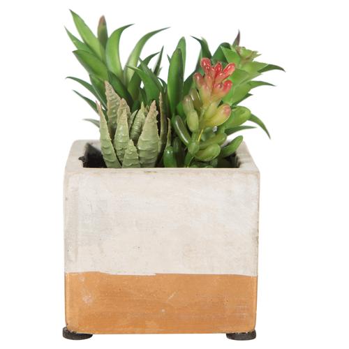  BRISBANE YAPAY SUKULENT 8X12CM