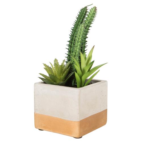  BRISBANE YAPAY SUKULENT 8X17CM