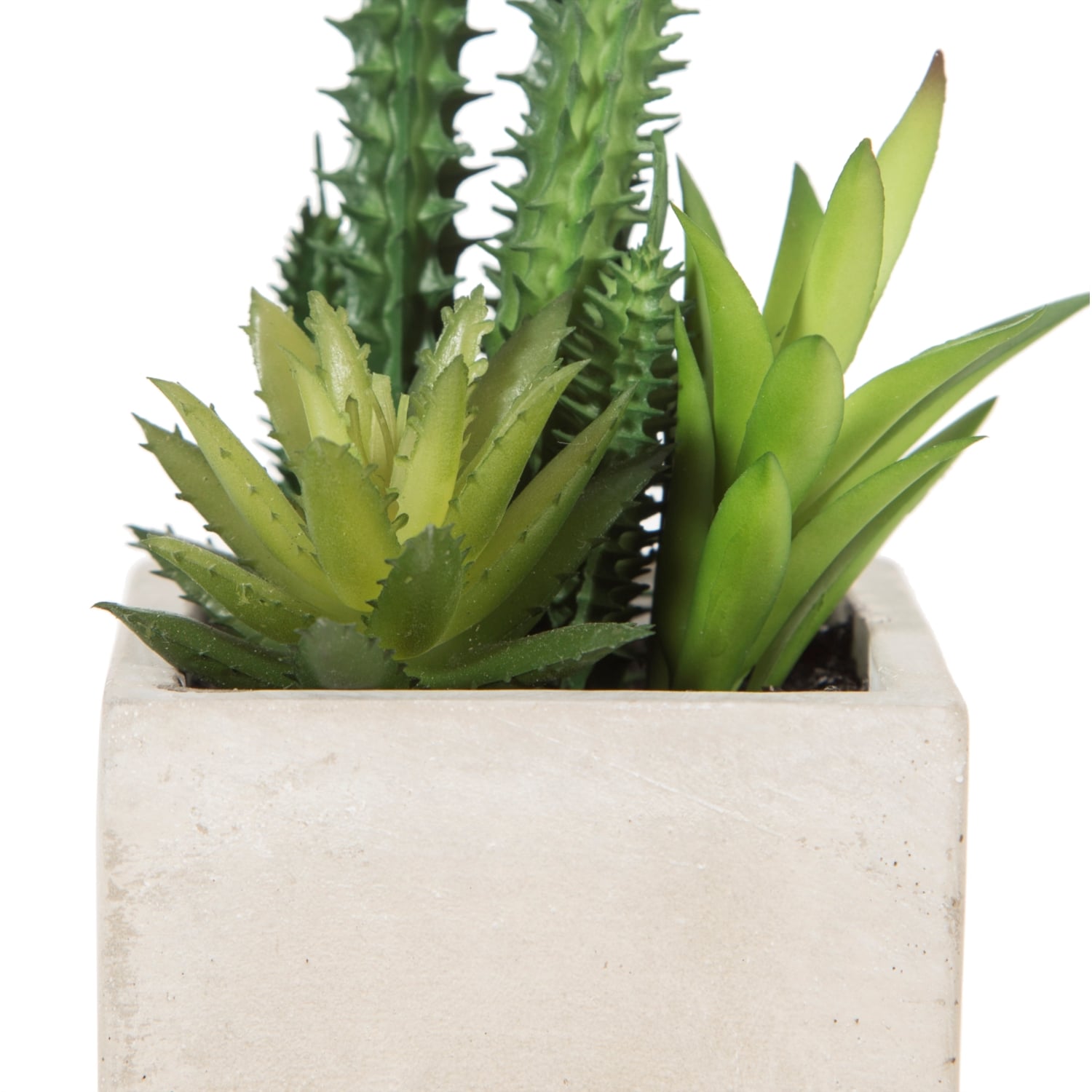 BRISBANE YAPAY SUKULENT 8X17CM