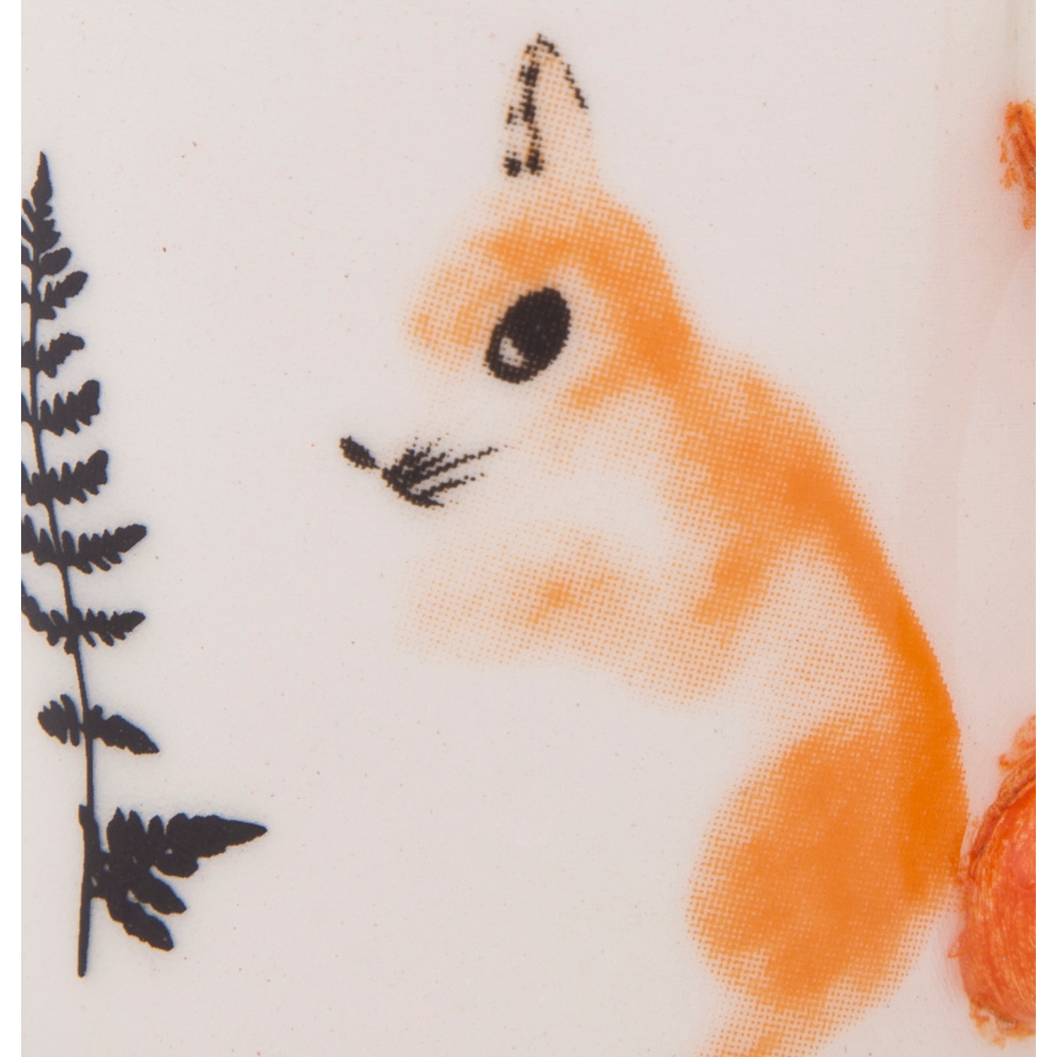 SQUIRREL FİNCAN 90ML